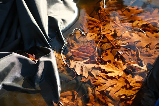 Orange-brown autumn leaves piled on the ground beside a dark bag, lit by sunlight