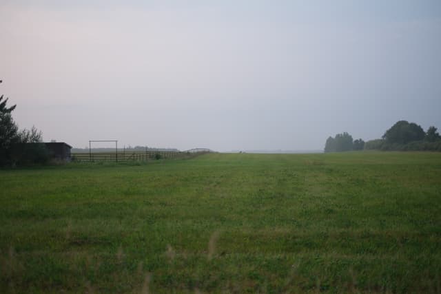 Wide grassy field fading into light fog under an overcast sky, with tree lines on both sides and distant goalposts