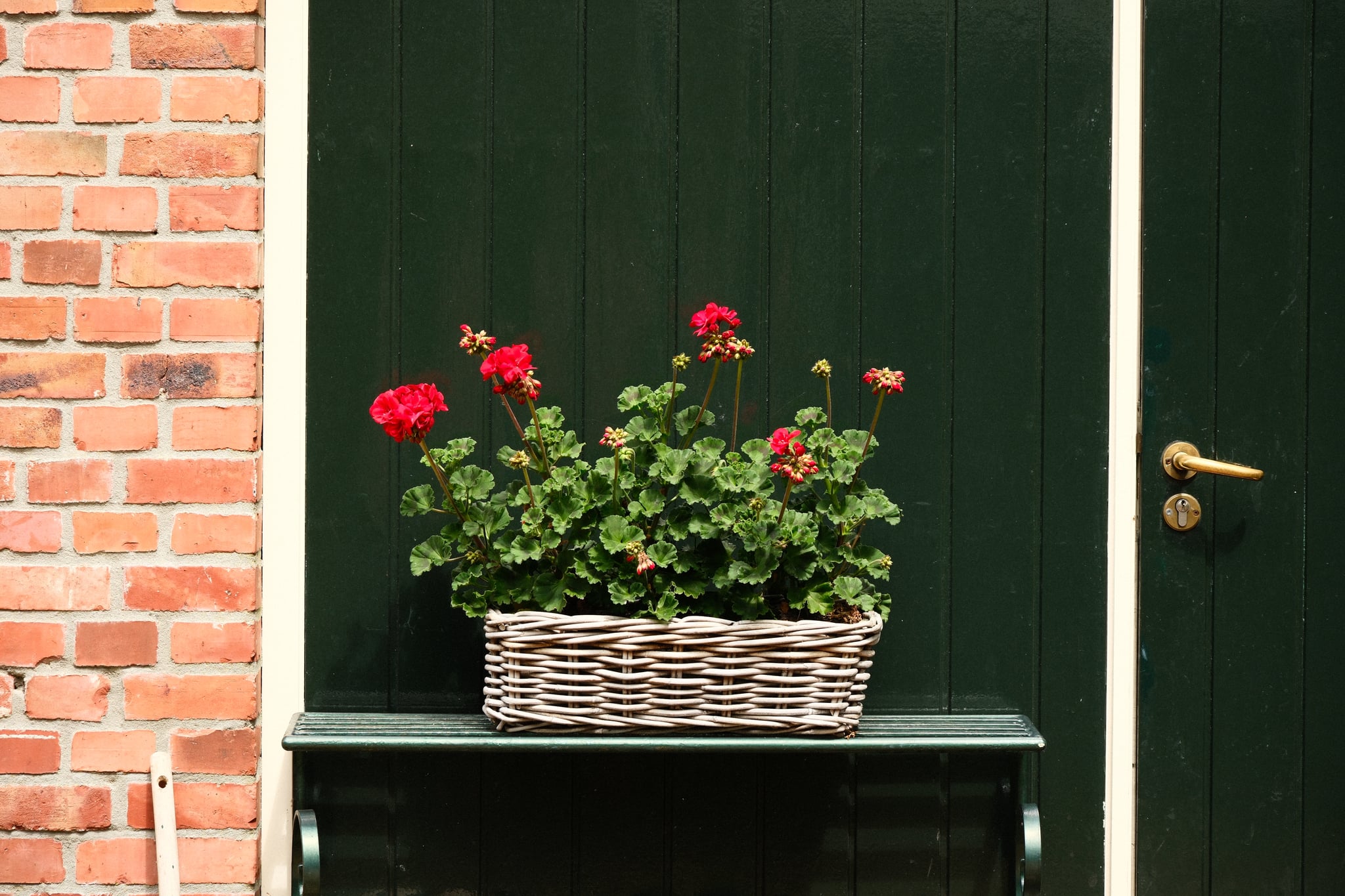 White wicker planter with red roses on a small black table beside a green door and brick wall