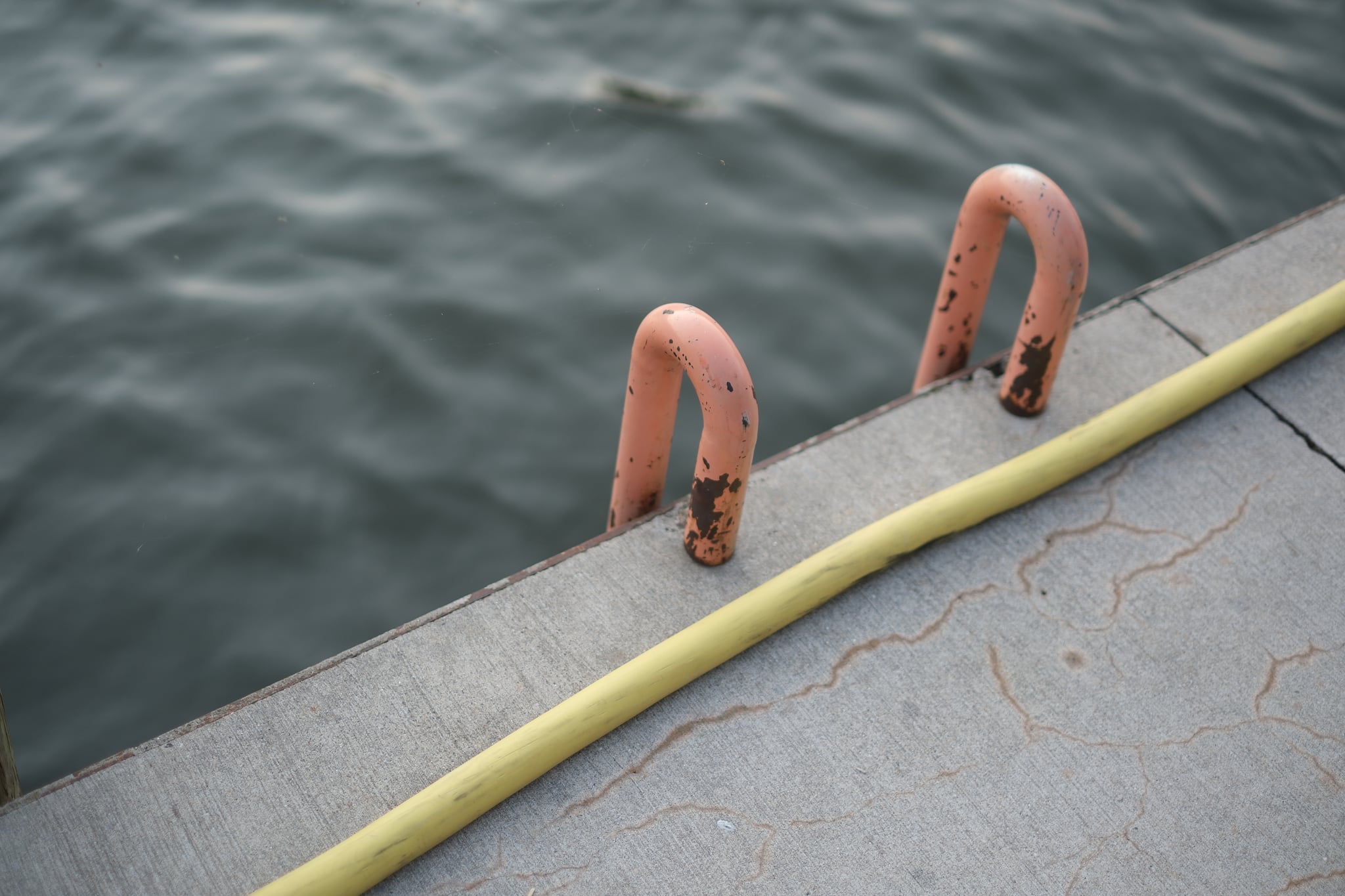 Metal ladder rungs mounted on a concrete dock edge above rippling water