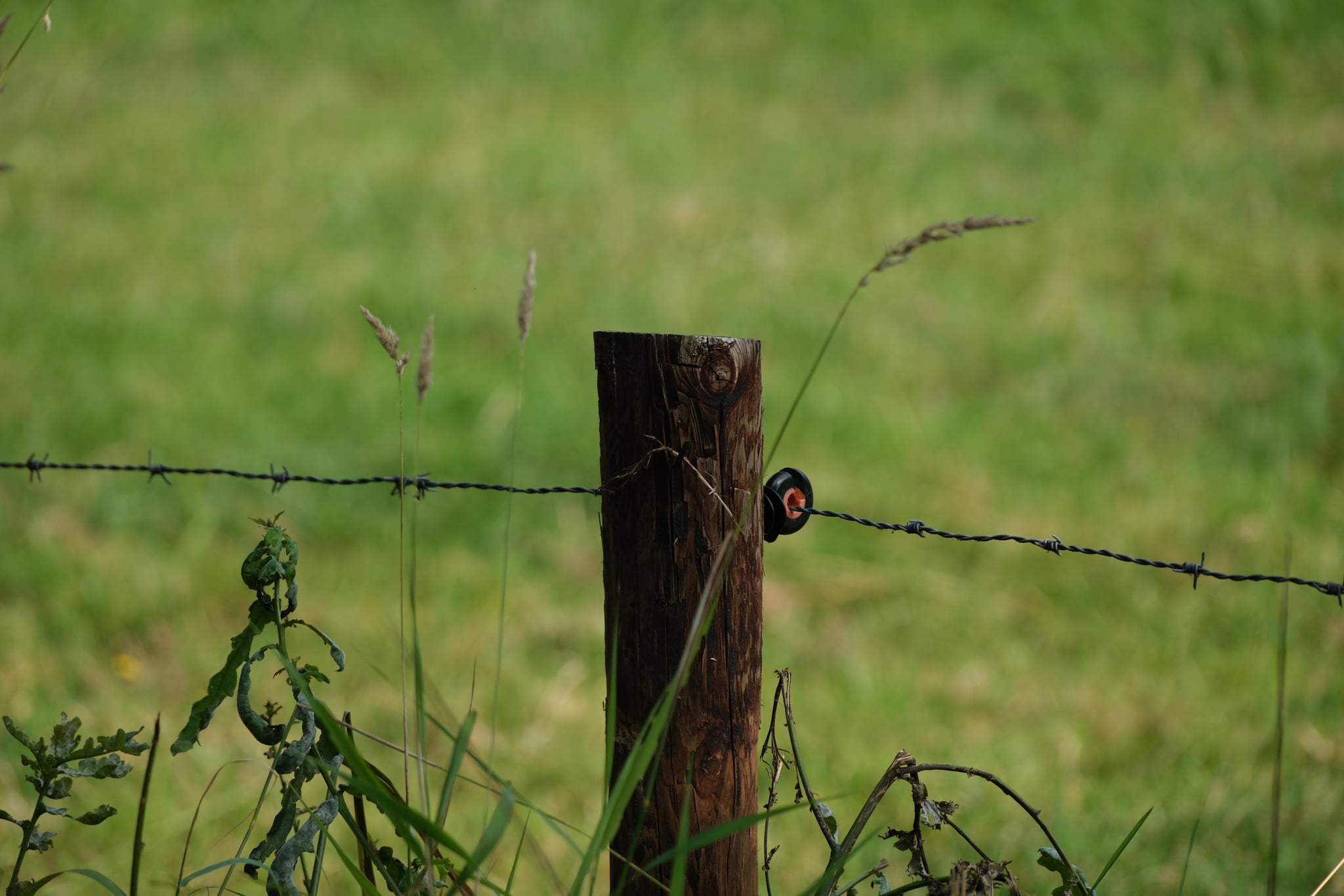 Weathered wooden fence post with barbed wire against a blurred green field backdrop