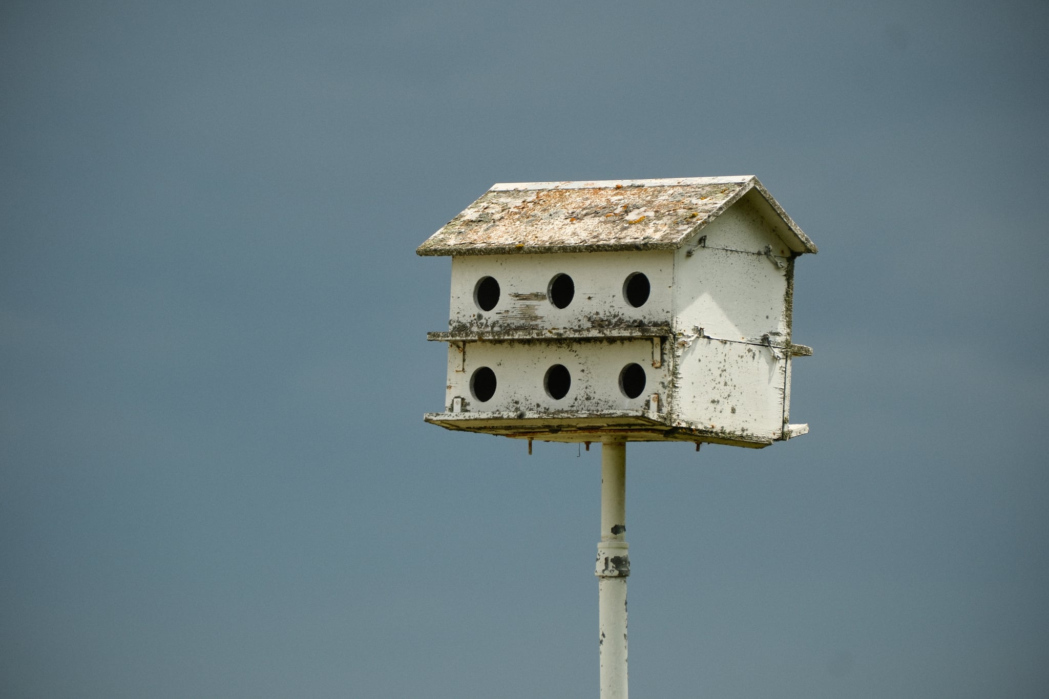 Weathered white birdhouse with multiple entry holes mounted on a tall pole against a dark gray sky