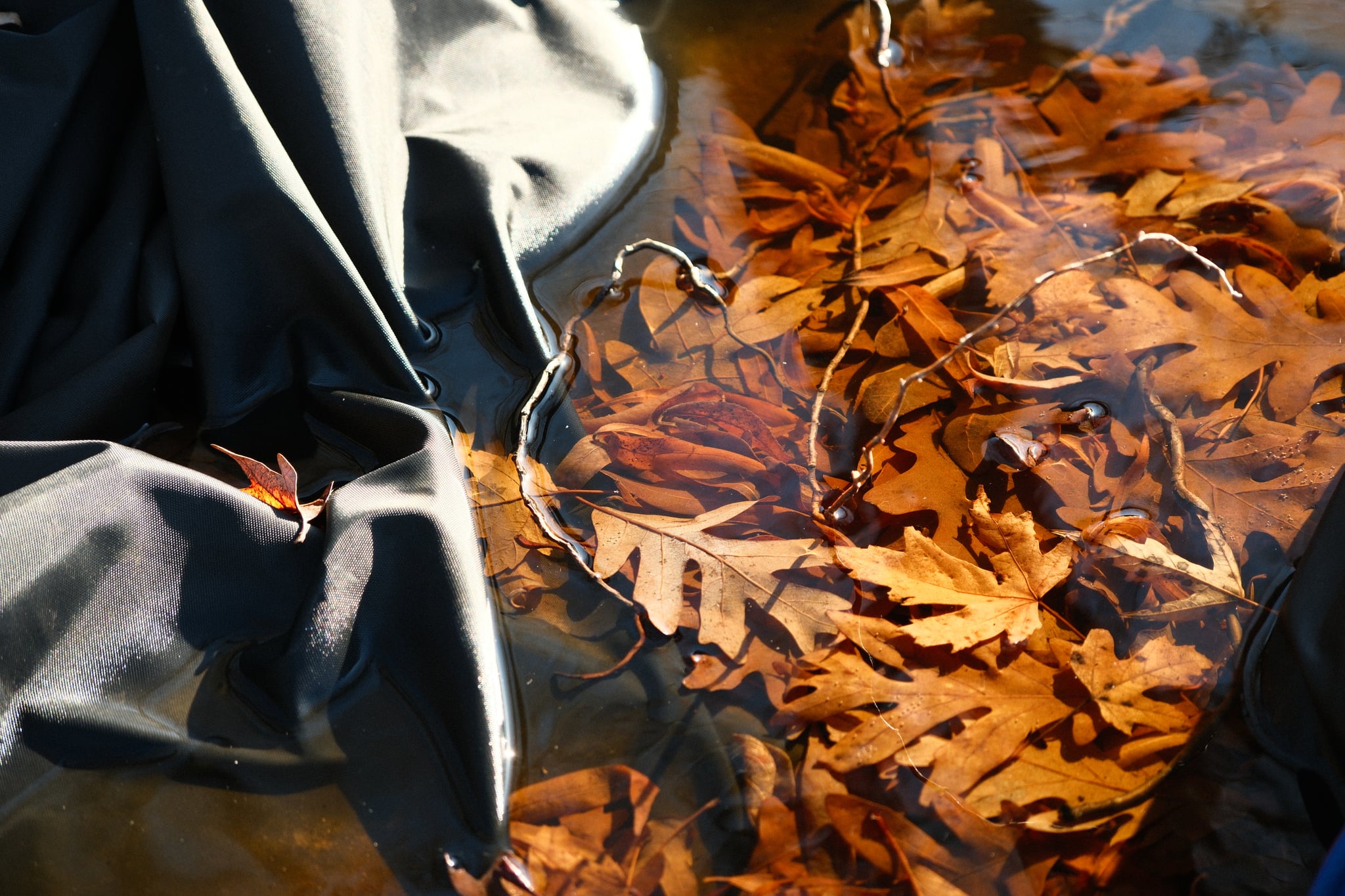 Orange-brown autumn leaves piled on the ground beside a dark bag, lit by sunlight