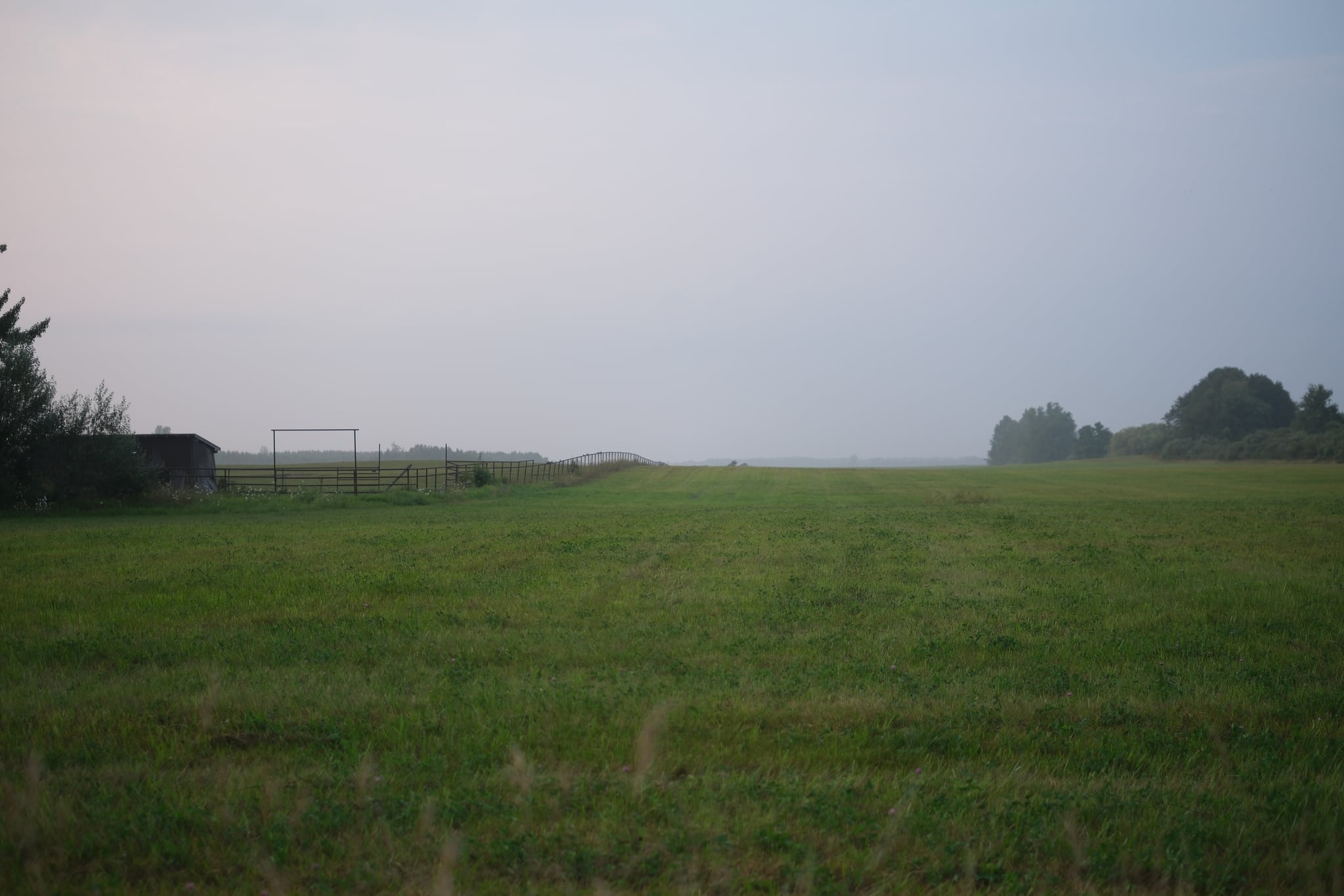Wide grassy field fading into light fog under an overcast sky, with tree lines on both sides and distant goalposts